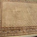 886 6230 CARPET